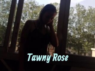 Tawny_Rose