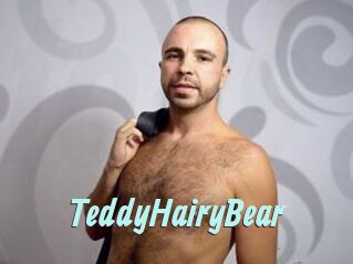 TeddyHairyBear