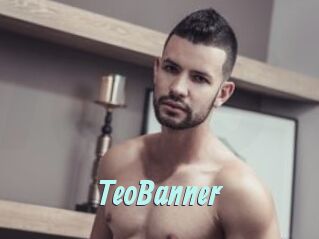 TeoBanner