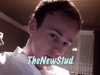 TheNewStud