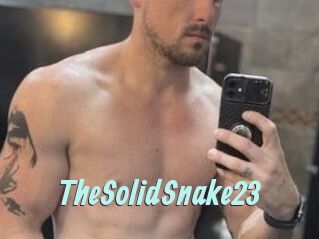 TheSolidSnake23