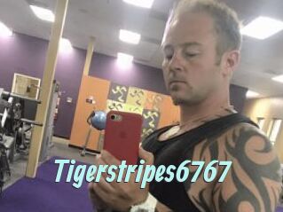 Tigerstripes6767