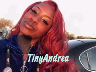 TinyAndrea