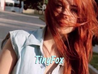 TinyFox