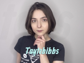 Taytebibbs