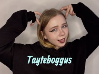 Tayteboggus