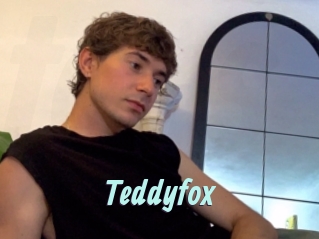Teddyfox