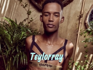 Teylorray