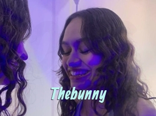 thebunny Ton Show