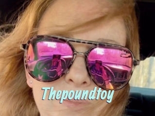 Thepoundtoy