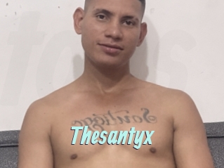 Thesantyx