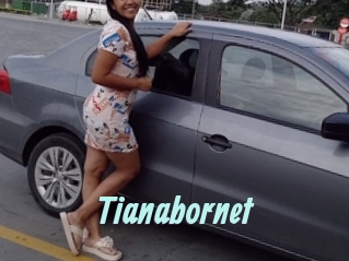 Tianabornet