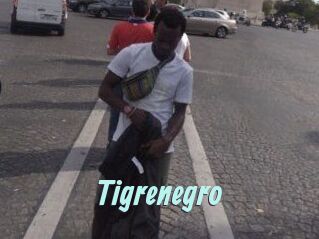 Tigrenegro