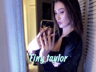Tiny_taylor
