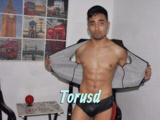 Torusd