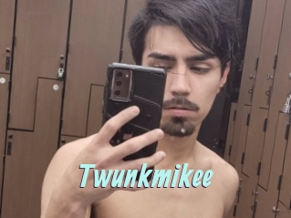 Twunkmikee