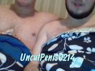UncutPenis0214