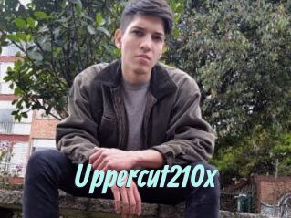 Uppercut210x