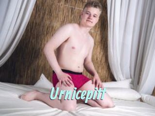 Urnicepitt