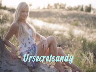 Ursecretsandy