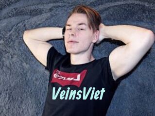 VeinsViet