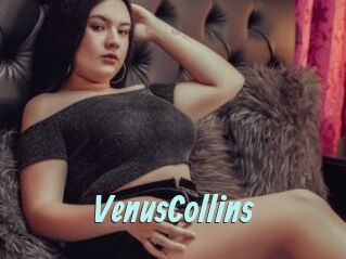VenusCollins