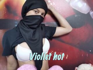 Viollet_hot