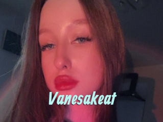 Vanesakeat