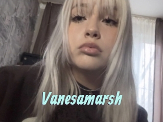 Vanesamarsh