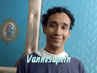Vannesapein