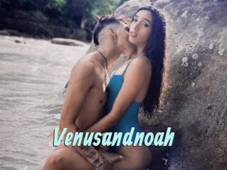 Venusandnoah