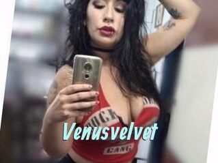 Venusvelvet