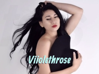 Viiolethrose