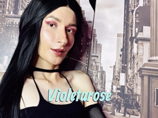 Violetarose