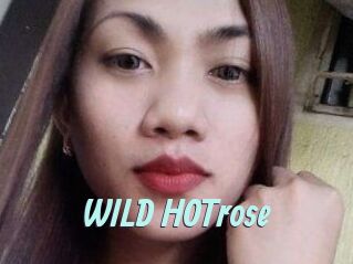 WILD_HOTrose