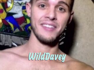 WildDavey