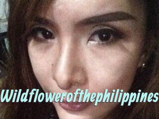 Wildflowerofthephilippines