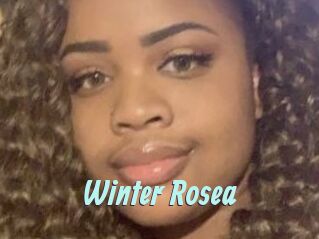 Winter_Rosea