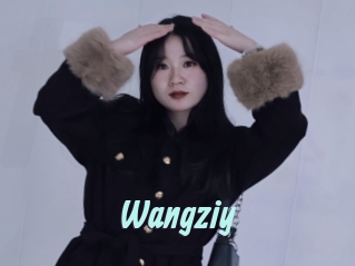 Wangziy