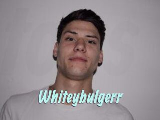 Whitey_bulgerr