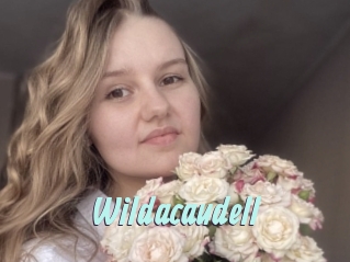 Wildacaudell