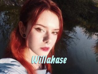Willahase