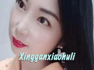 Xingganxiaohuli