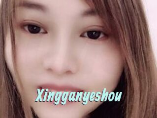 Xingganyeshou