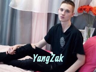 YangZak