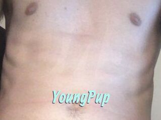 YoungPup