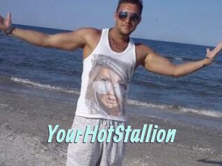YourHotStallion