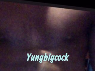 Yungbigcock