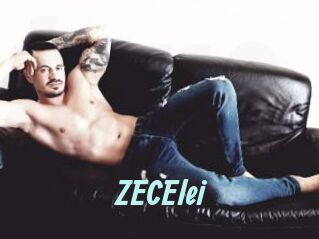 ZECElei